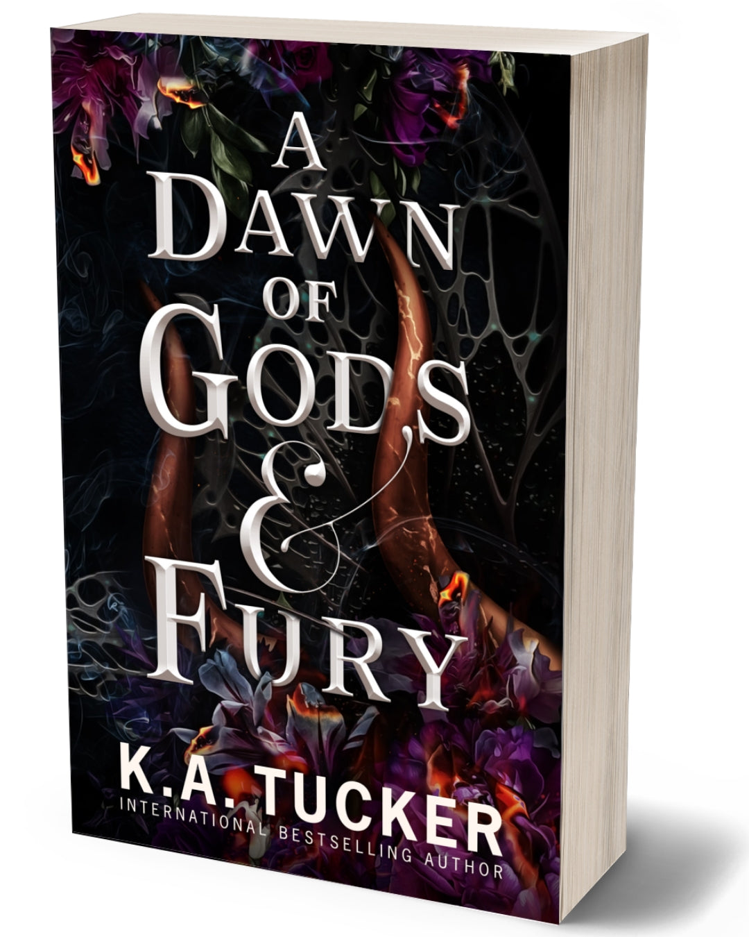 A DAWN OF GODS AND FURY PAPERBACK