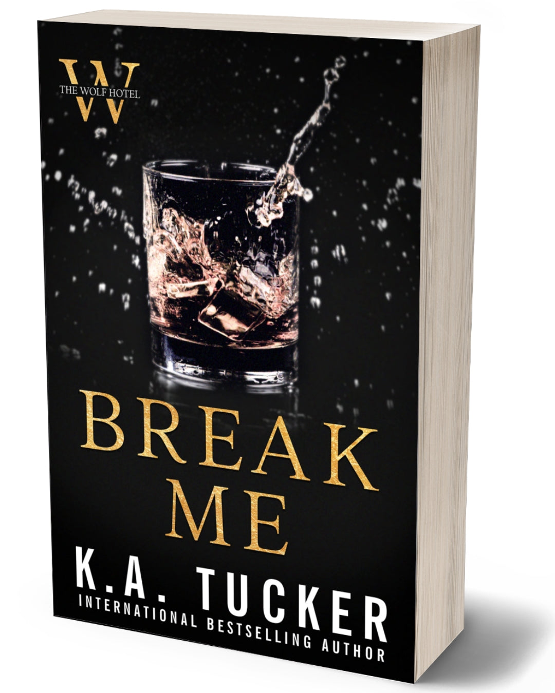 BREAK ME PAPERBACK