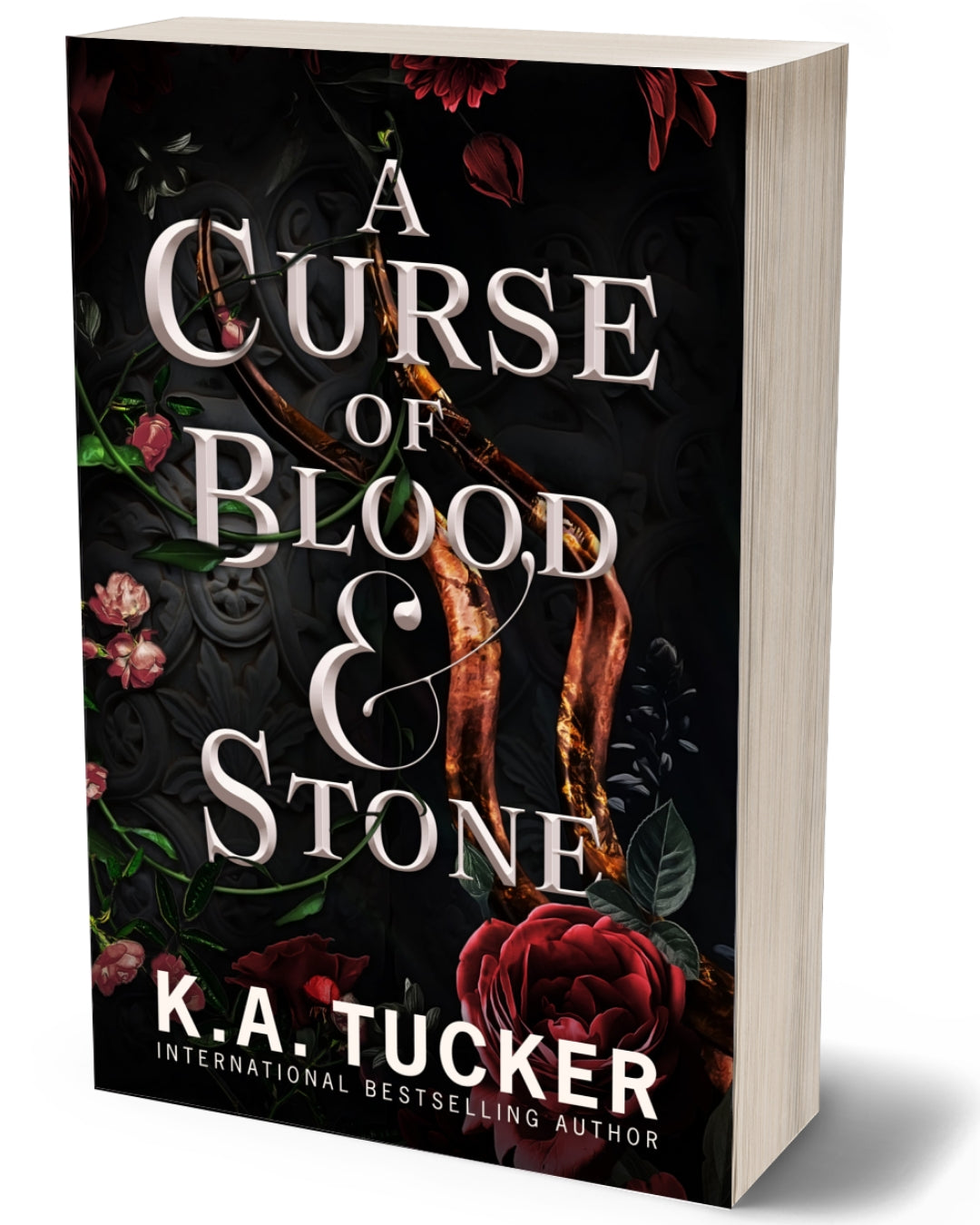 A CURSE OF BLOOD AND STONE PAPERBACK