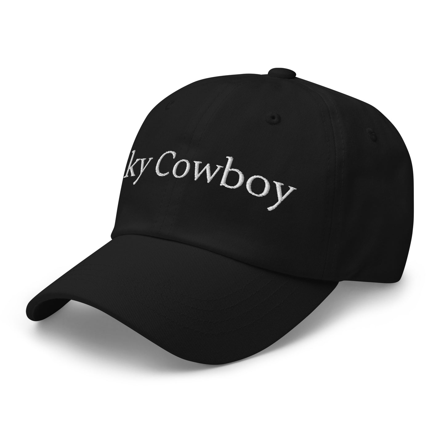 Sky Cowboy Dad hat
